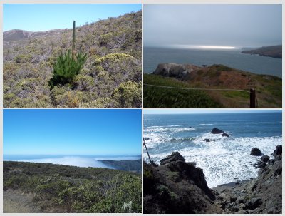 POINT REYES SEASHORE