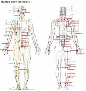 Human Meridian Chart