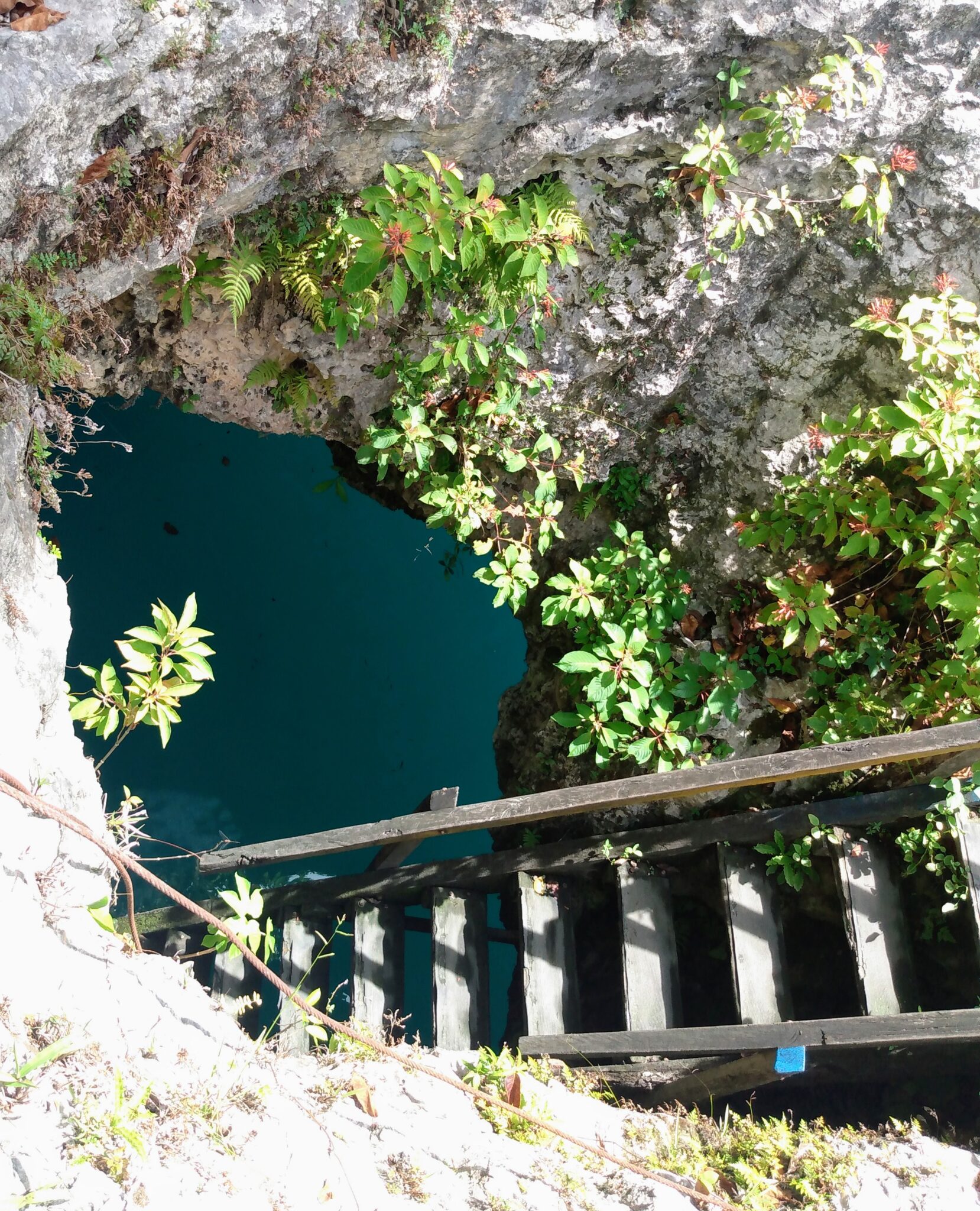 cenote stairs
