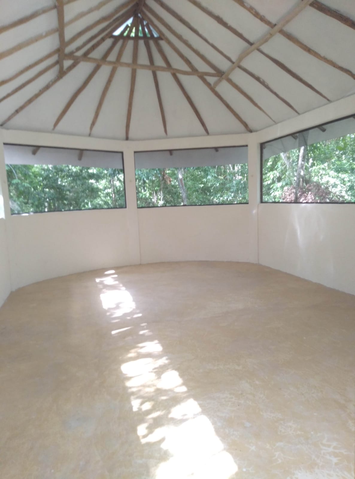 treetop palapa